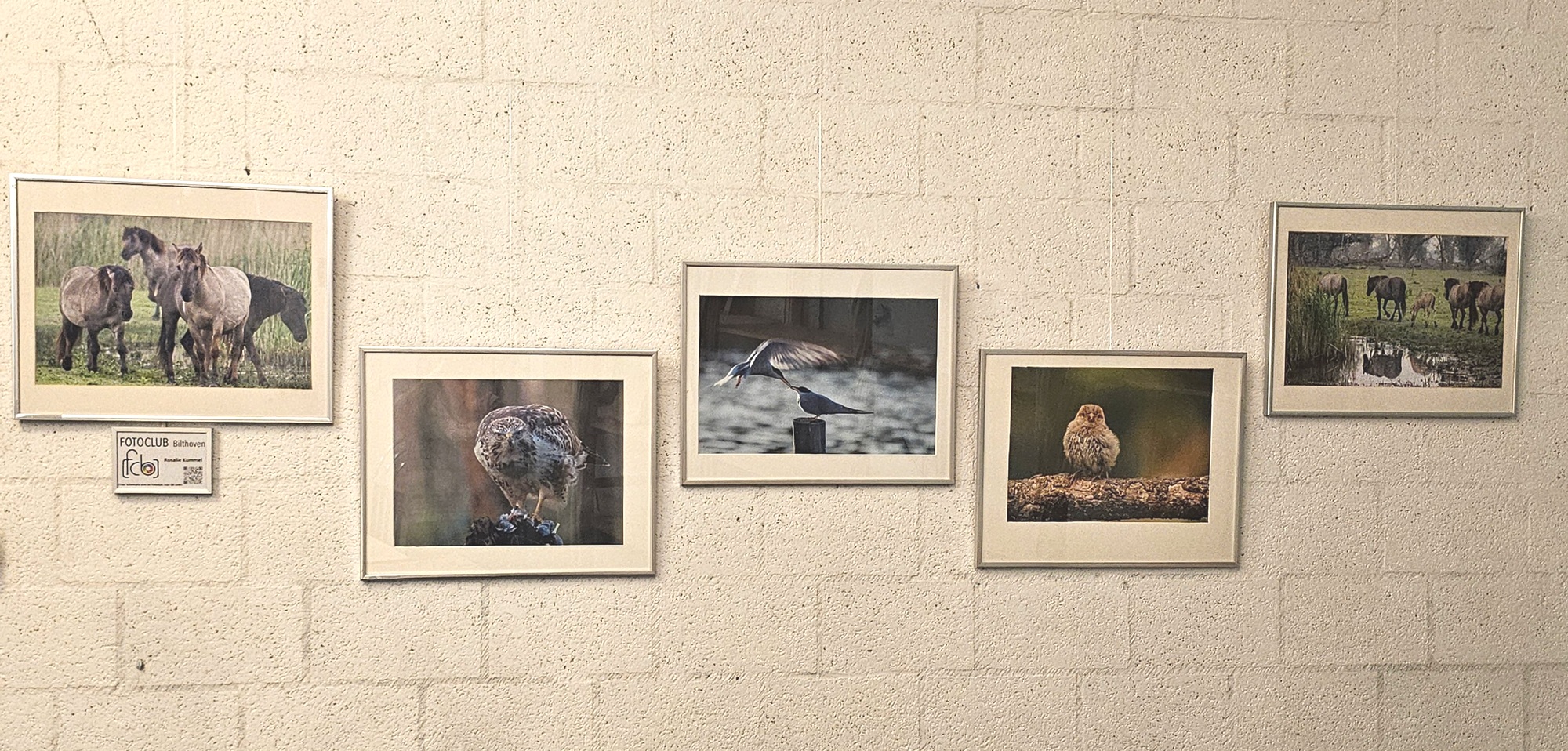 Nieuwe foto’s bij de Voedselbank