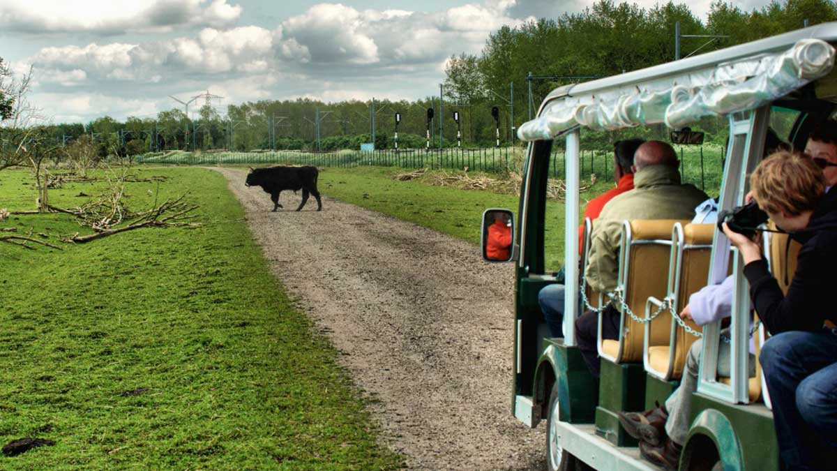 Bespreking foto’s gemaakt tijdens de fotosafari